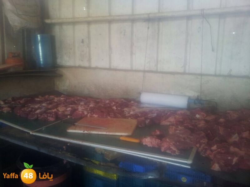 noor jam3iya j (5).JPG